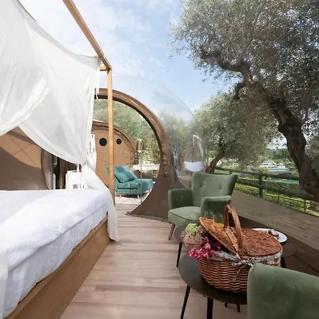 拉罗卡露营地 营地