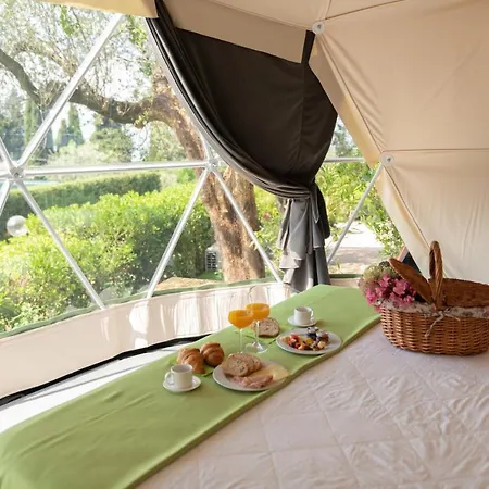 拉罗卡露营地 营地 巴多利诺